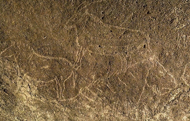 This undated handout picture released by Diputacion Foral de Bizkaia on October 13, 2016 shows cave engravings representing horses and goats (AFP Photo)