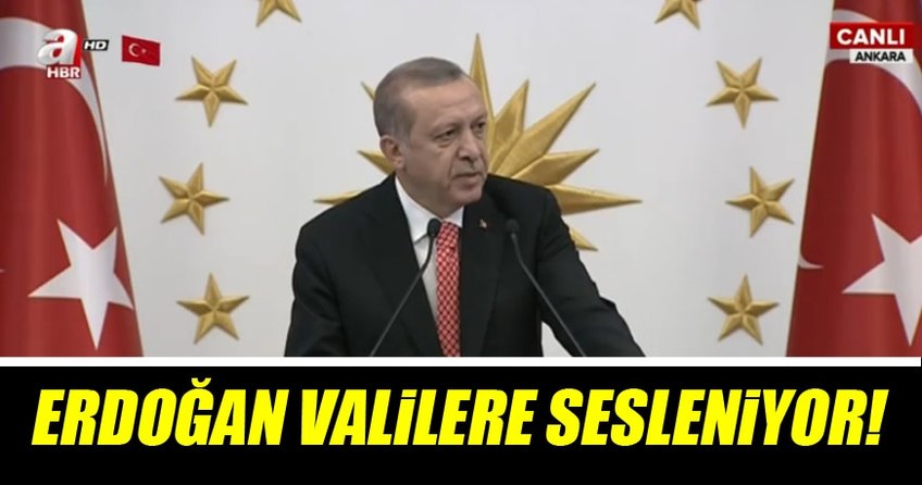 Cumhurbaşkanı Erdoğan Valilere seslendi