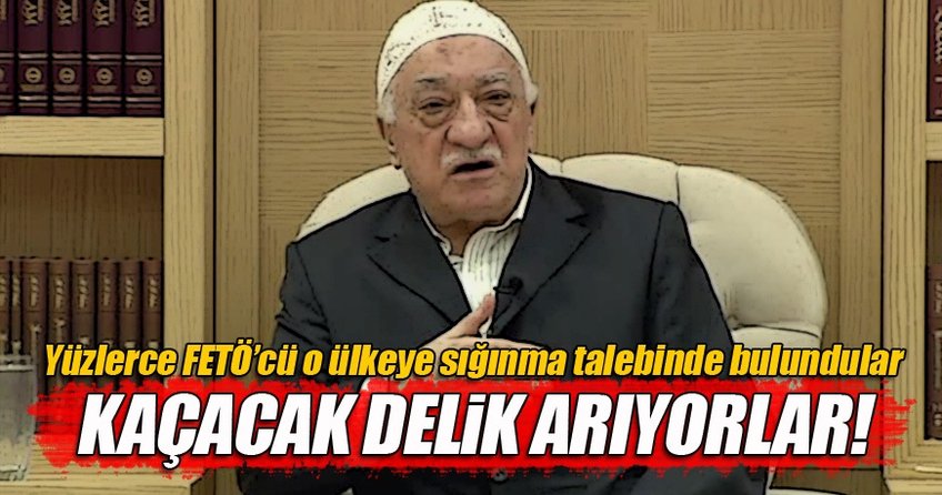 Yüzlerce FETÖ'cü Almanya'ya sığınmak istiyor!