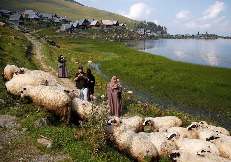 Tourists from the Middle East take pictures of sheep on the Prokosko Lake near Fojnica, Bosnia and Herzegovina, August 20, 2016.  REUTERS Photo