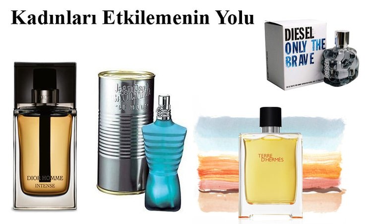 Erkeklerin Begendigi Kadin Parfumleri