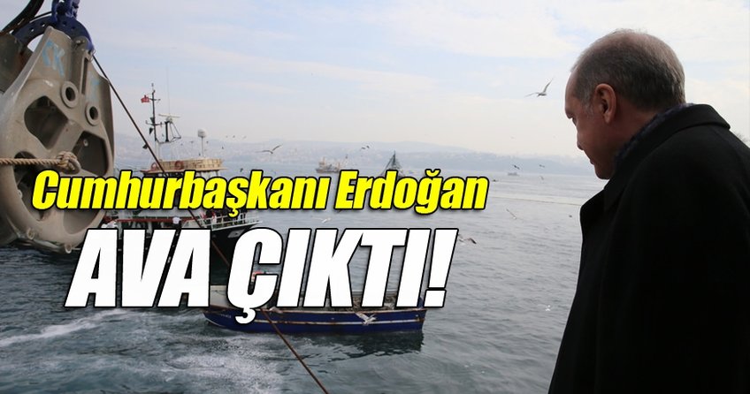 Cumhurbaşkanı Erdoğan, balıkçılarla ava çıktı