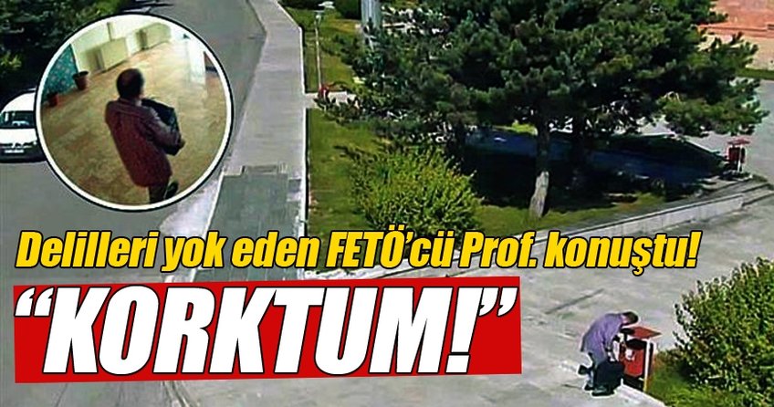 Delilleri yok eden Prof. konuştu: Korktum
