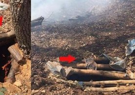 Tunceli'de öldürülen PKK'lı terörist sözde üst düzey yetkili çıktı