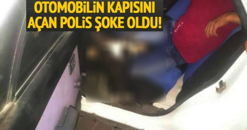 Otomobille inek hırsızlığı