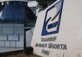 TMSF'ye devredilen şirketlere Bakan atama yapacak!