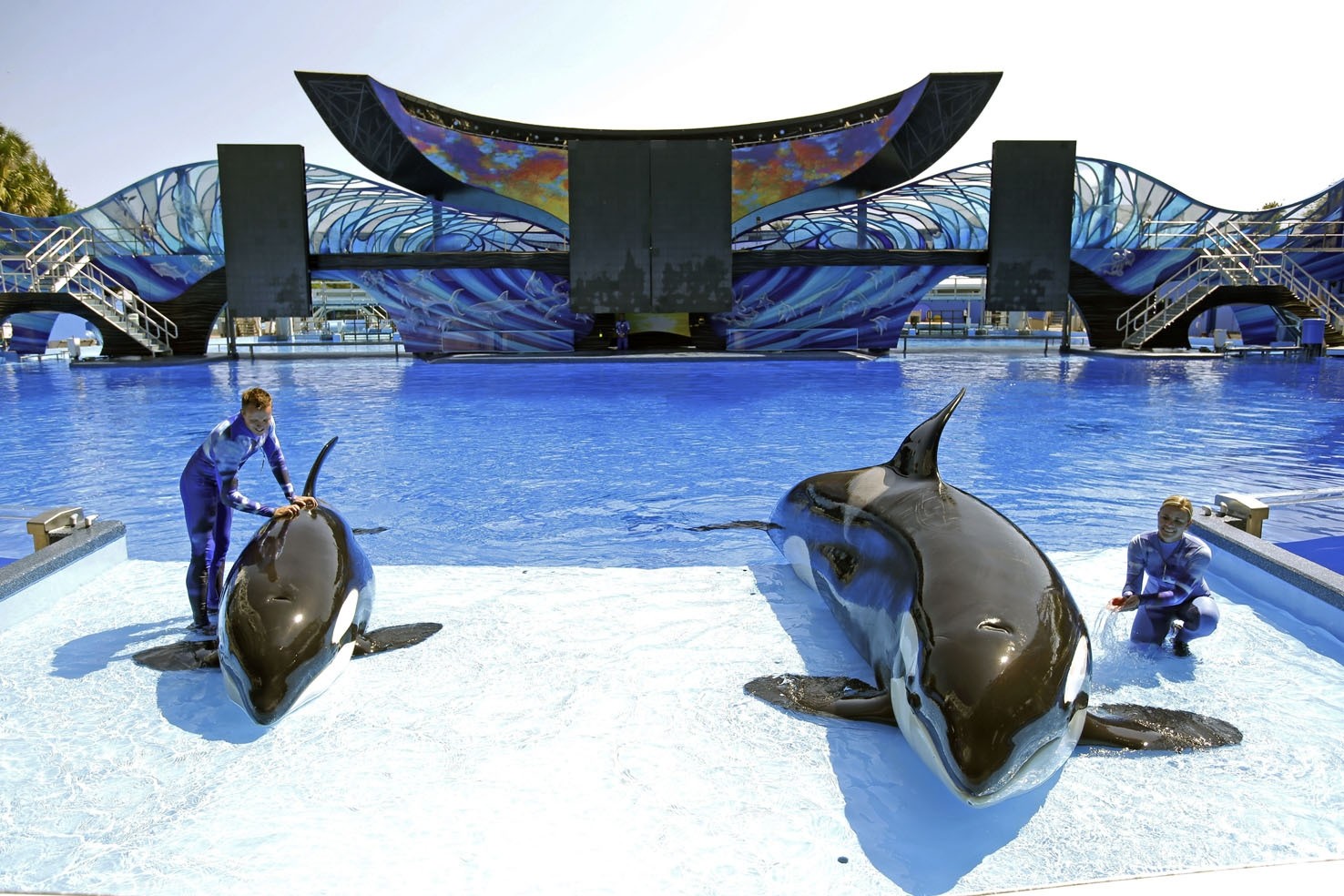 The theme park in Abu Dhabi will be the first SeaWorld park outside the United States and without orcas. 