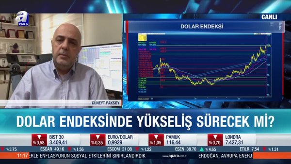 Dolar endeksinde seyir ne olacak?
