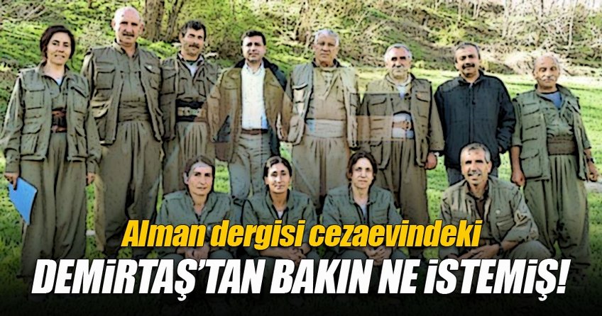 Alman dergisi Demirtaş'tan bakın ne istemiş