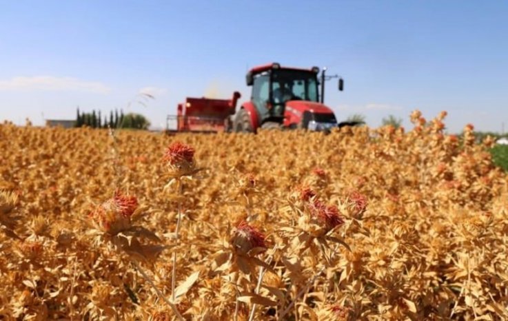 DİZEL İÇİN FLAŞ KARAR! ZORUNLU OLUYOR