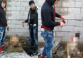 Isparta'da kulakları kesilmiş köpek fotoğrafları isyan ettirdi
