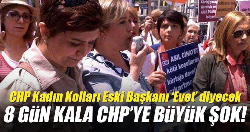 CHP Kadın Kolları eski Genel Başkanı: Yeni anayasaya 'evet' diyeceğiz