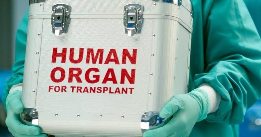 Herkes organ bağışçısı oluyor