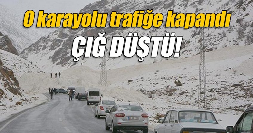 Çatak-Van yolu çığ düşmesi sonucu ulaşıma kapandı