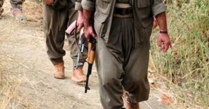 Mardin'de biri kadın 2 terörist yakalandı