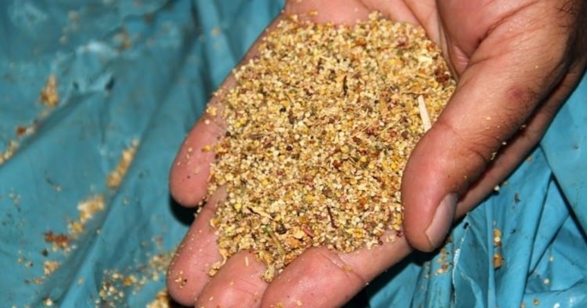 Bir kilosu 10 kilo ete eşdeğer!