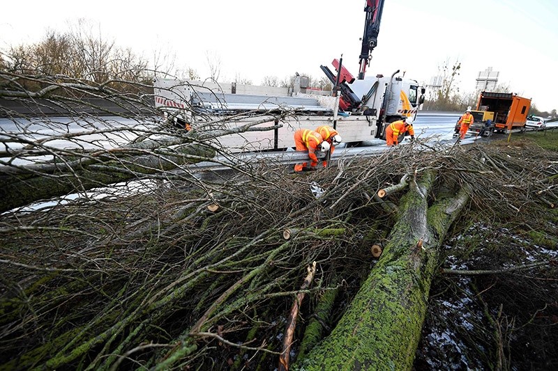 Workers repair a safety barrier after the fall of a tree in Avranches, on Jan. 13, 2017, after a storm hit parts of the country overnight. (AFP Photo)