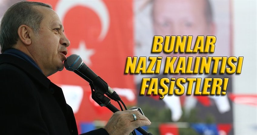 Hollanda bir sıçrarsın, iki sıçrarsın ama bilesin ki...