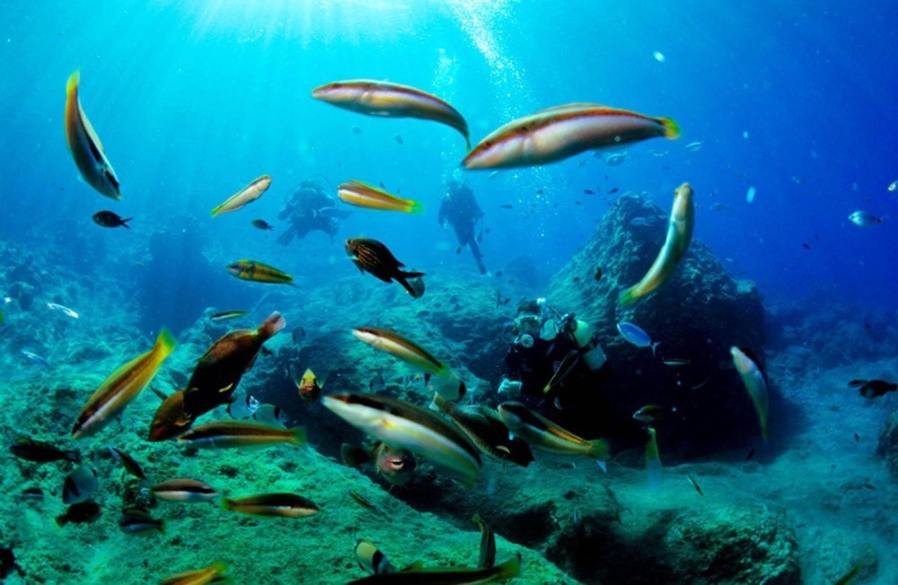 Into the deep: Diving spots in and around Antalya