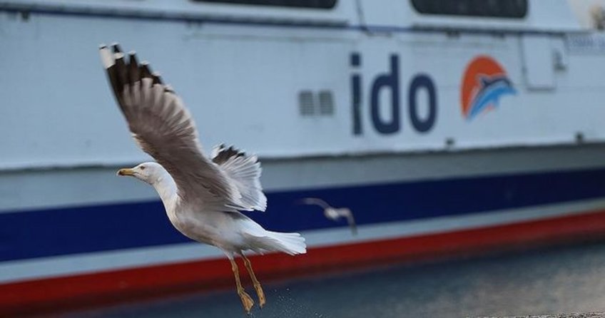 İDO, bazı seferler iptal edildi