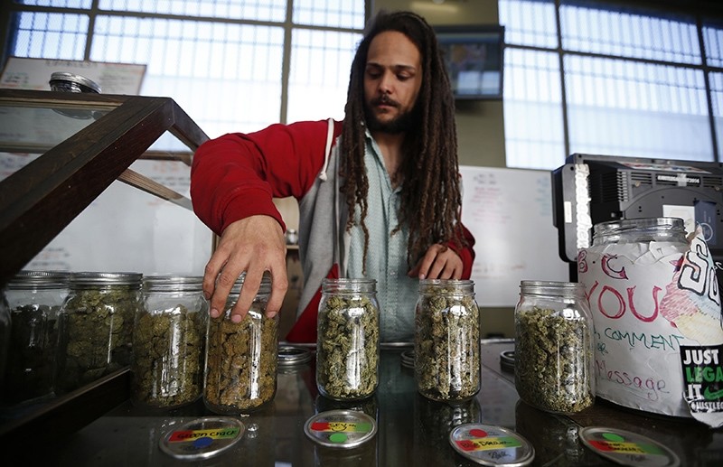 Volunteer Charlie Kirchheimer, 25, displays jars of dried cannabis buds at the La Brea Collective medical marijuana dispensary in Los Angeles, California, March 18, 2014 (Reuters Photo)