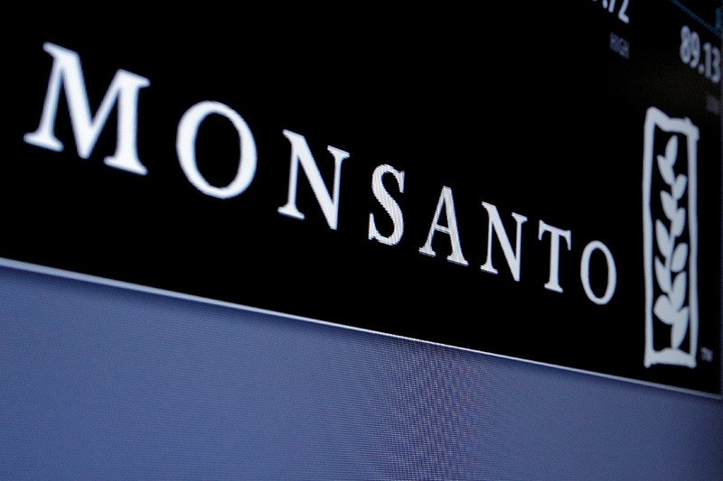 Monsanto logo is displayed on a screen where the stock is traded on the floor of the New York Stock Exchange (NYSE) in New York City, U.S. on May 9, 2016. (Reuters Photo)
