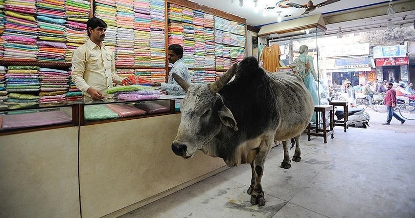 Hindistan’da inek kestiği iddia edilen Müslüman linç edildi