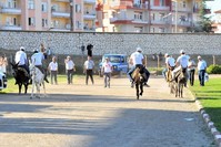 Reverse riding was the most challenging event at the festival.
