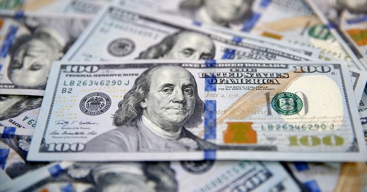 Reel efektif döviz kuru endeksi yükseldi