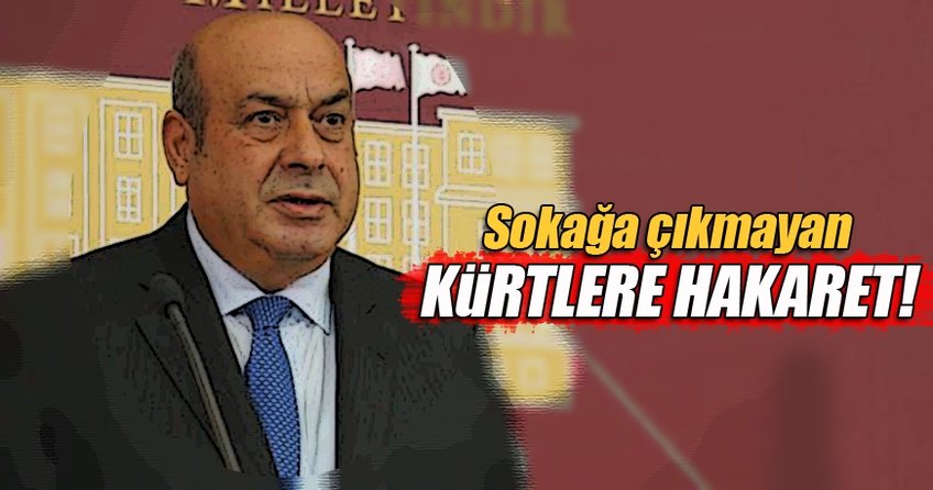 Hasip Kaplan Sokağa çıkmayan kürtlere hakaret etti