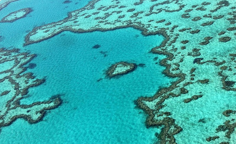 This file photo taken on November 20, 2014 shows an aerial view of the Great Barrier Reef off the coast of the Whitsunday Islands, along the central coast of Queensland (AFP Photo)