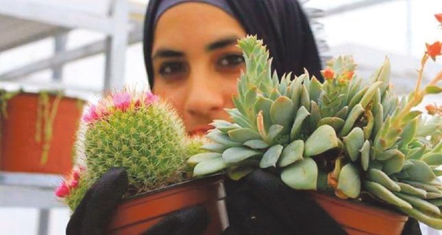 Kaktüs yetiştiriciliğini işi haline getirdi
