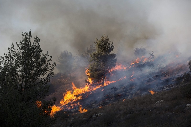  A forest fire in Nataf near Jerusalem, Israel, 23 November 2016. (EPA Photo)