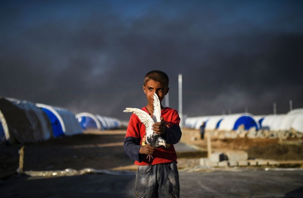 A displaced young Iraqi boy holding a pigeon at a refugee camp on Oct. 22, 2016 in the town of Qayyarah, south of Mosul, as an operation to liberate the city from Daesh takes place.