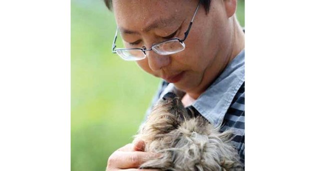Sokak köpeklerinin koruyucusu