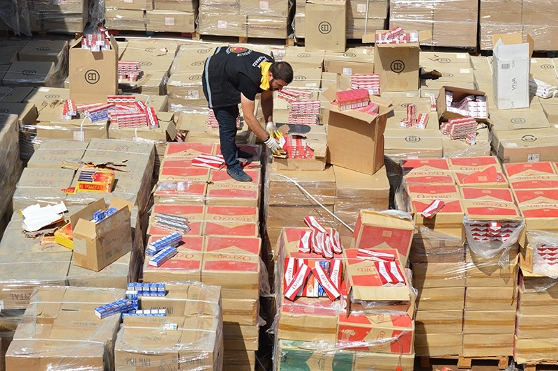  A customs official inspecting smuggled cigarette packages (Sabah Photo)