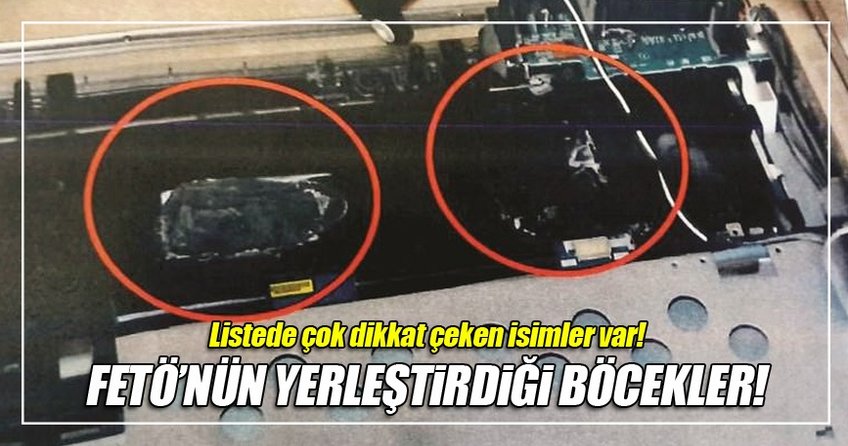 İşte o böcekler!