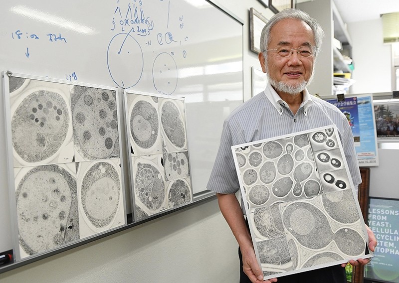In this July, 2016 photo, Japanese scientist Yoshinori Ohsumi smiles at the Tokyo Institute of Technology campus in Yokohama, south of Tokyo. (AP Photo)