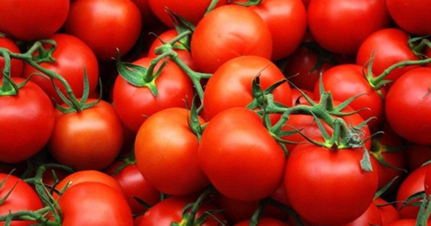 Rusya'dan flaş domates açıklaması