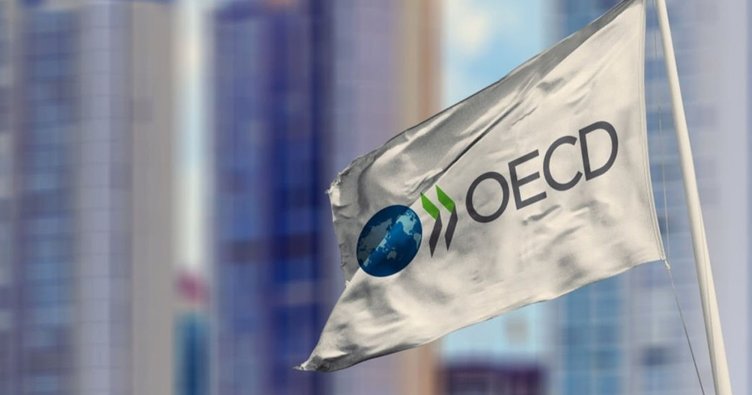 OECD: Türkiye’nin gri listeden çıkarılması yabancı yatırımı artıracak bir adım