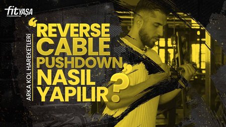 Reverse Cable Pushdown Nasıl Yapılır? En Etkili Triceps Hareketleri