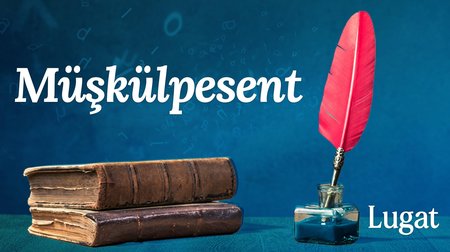 Müşkülpesent ne demek? | Lugat