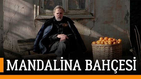 Mandalina Bahçesi Film Fragmanı | Tangerines Trailer