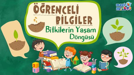 Bitkilerin yaşam döngüsü