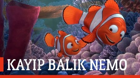 Kayıp Balık Nemo Film Fragmanı