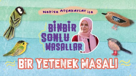 Bir Yetenek Masalı - Nefise Atçakarlar'dan Binbir Sonlu Masallar