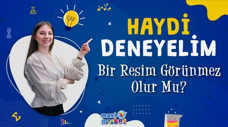 Bir Resim Görünmez Olur Mu?