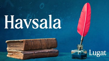 Havsala ne demek? | Lugat