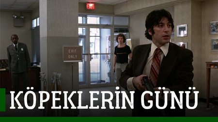 Köpeklerin Günü Film Fragmanı | Dog Day Afternoon Trailer