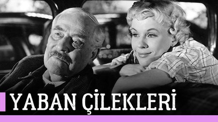 Yaban Çilekleri Film Fragmanı | Wild Strawberries Trailer